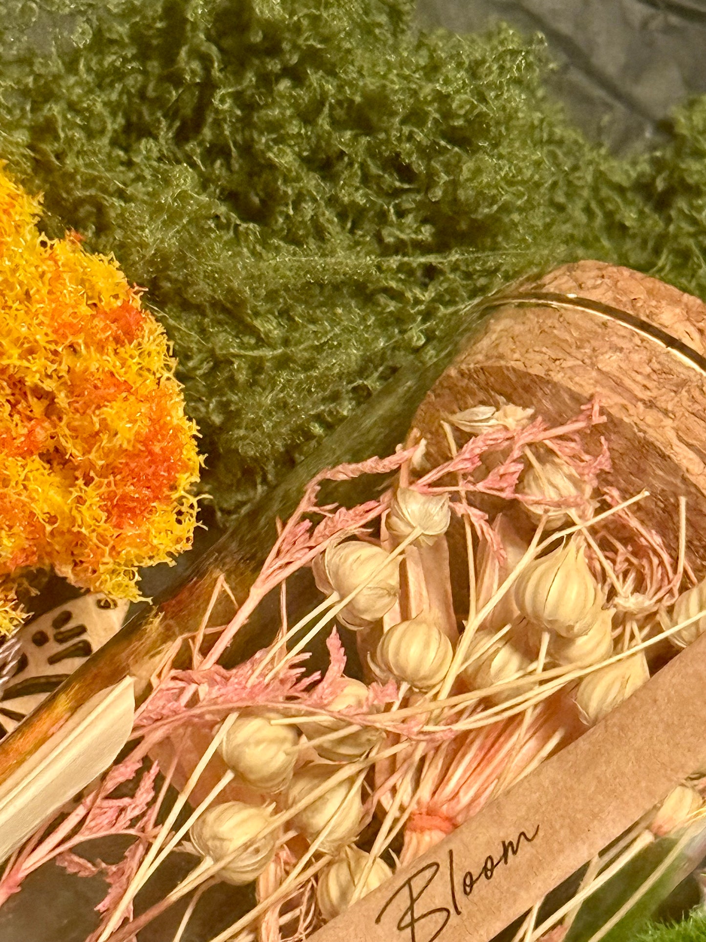 Fairy garden kit