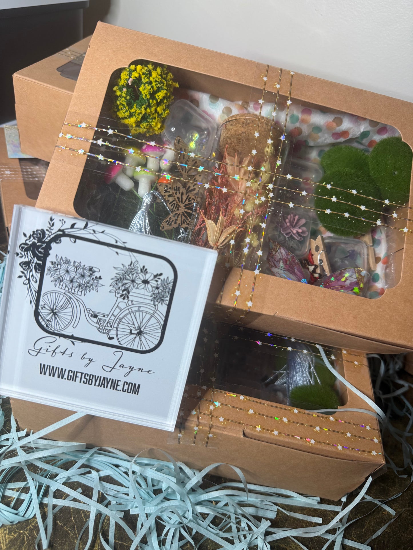 Fairy garden kit