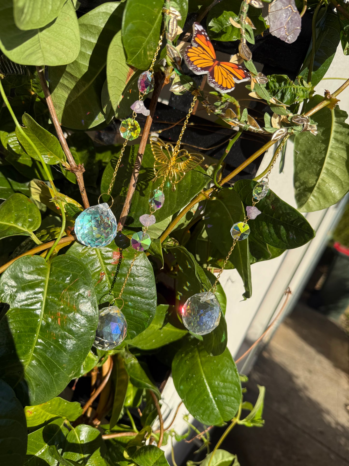 Butterfly sun catcher