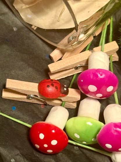 Fairy garden kit