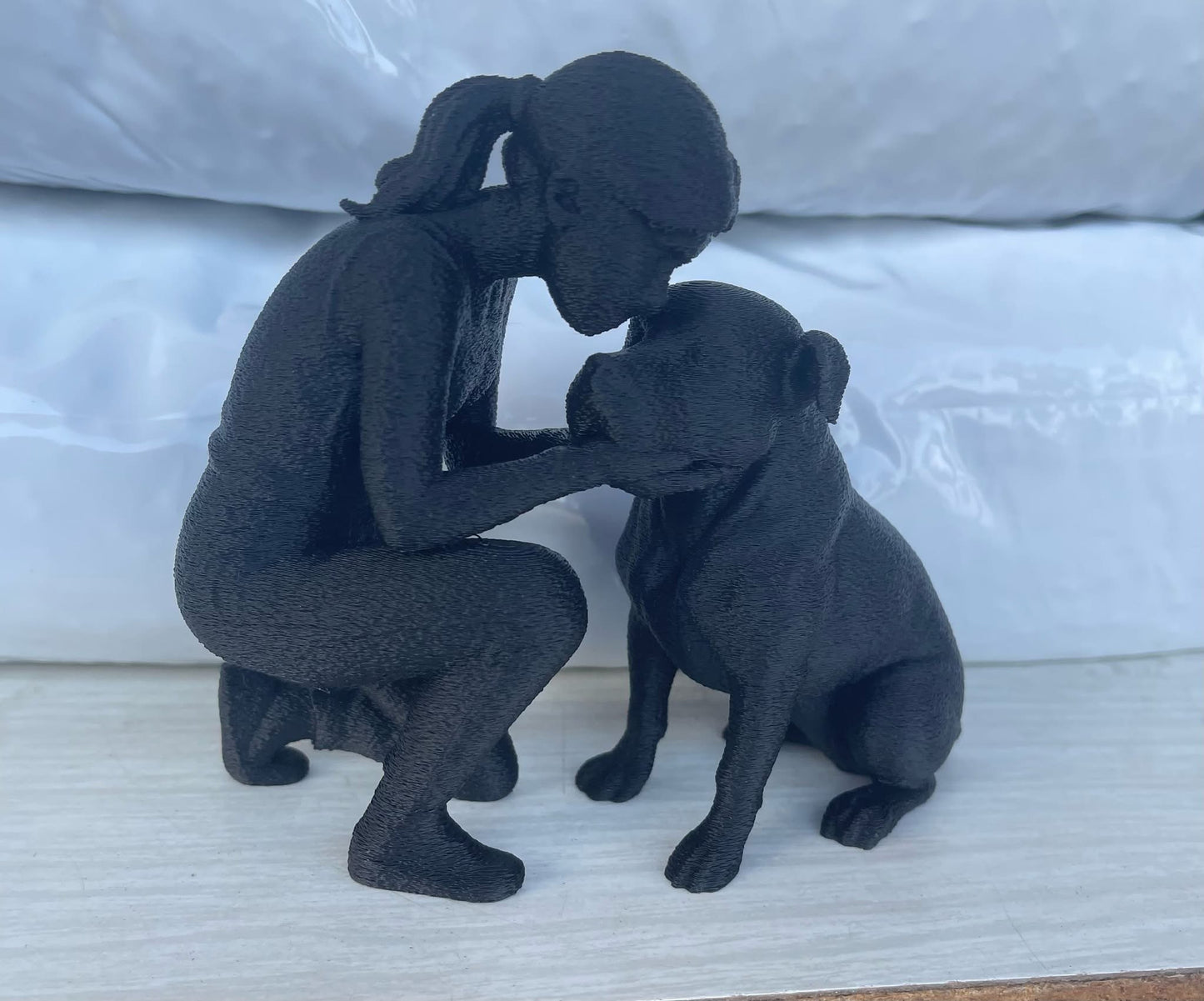 WDR Companion 3D print *in stock*